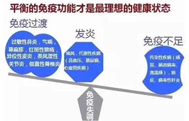 ...都能免疫物理伤害,他们俩能不能免疫防御塔的伤害?