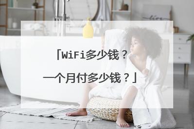 装一个WIFI多少钱?