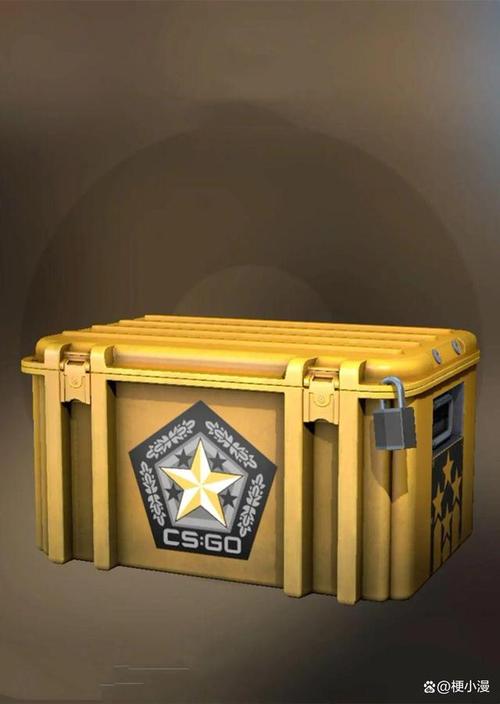 《CSGO》头号特训武器箱出什么金?