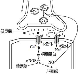 四种强化机制及原理