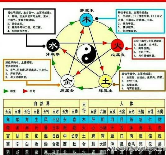 问道五行号玩什么五行好,是玩五个好金木水火土,加什么点好