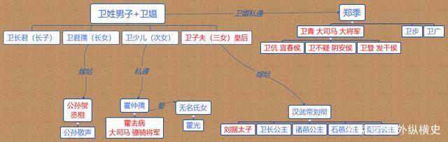 演卫子夫的总共有那些成员