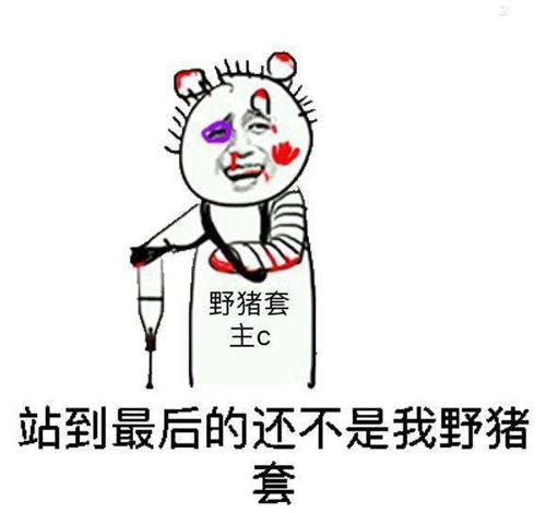 假猪套天下第一什么梗?假猪套是什么意思